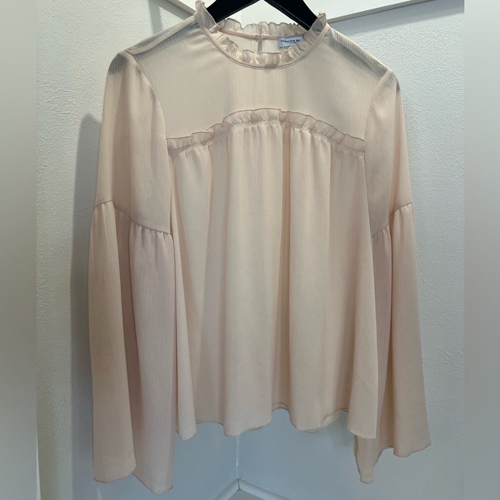 Carolina Belle: Sheer, Blush Blouse - Picture 4 of 4